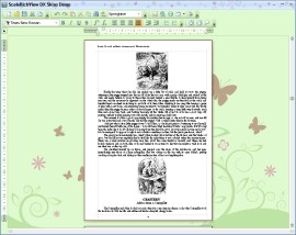 Máscaras para el editor WYSIWYG